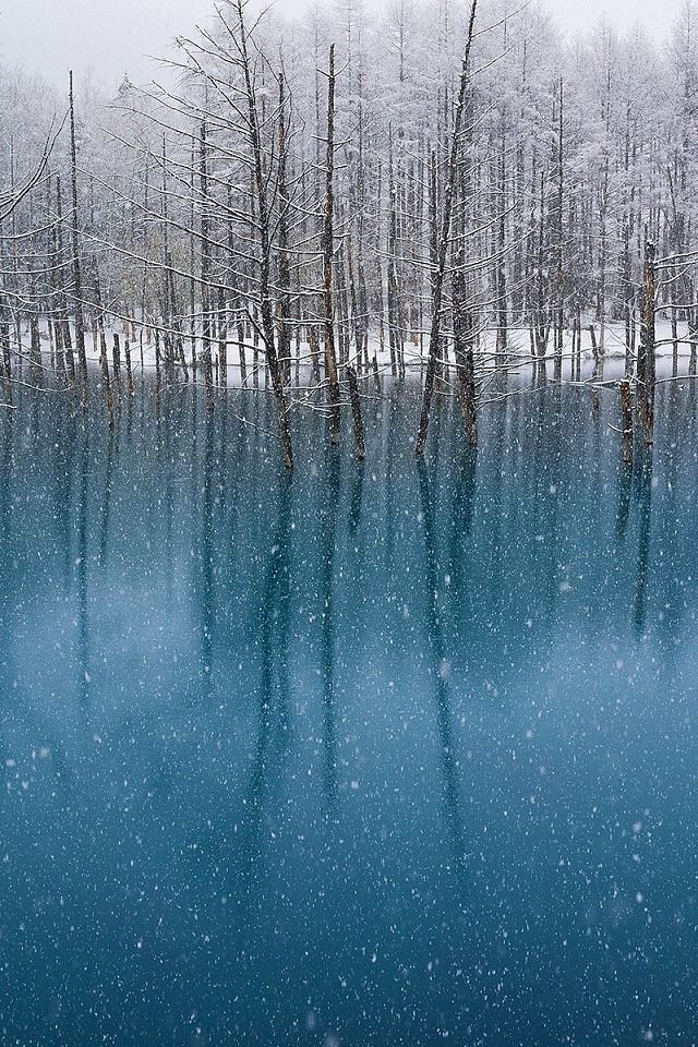 640x960 Biei Hokkaido - japan iPhone 4s Wallpaper
