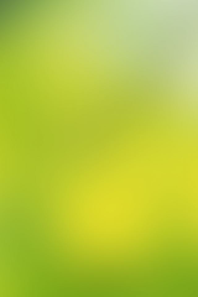 640x960 Soft Green - simpleness iPhone 4s Wallpaper