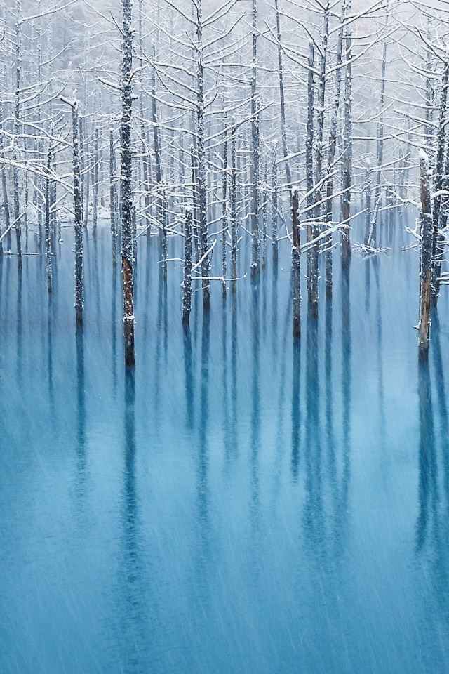 640x960 Snow Pond - tree iPhone 4s Wallpaper