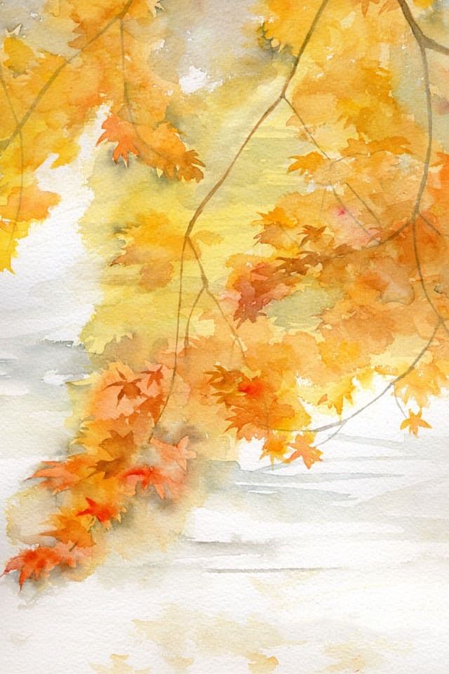 640x960 Akiba -  iPhone 4s Wallpaper