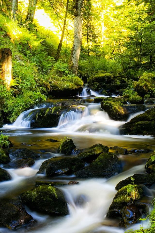 640x960 Black Forest Germany - germany iPhone 4s Wallpaper