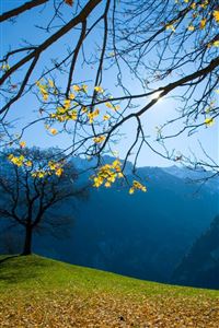 Autumn Schachental Switzerland wallpaper