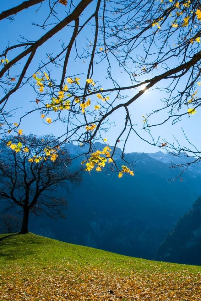 640x960 Autumn Schachental Switzerland - sun iPhone 4s Wallpaper