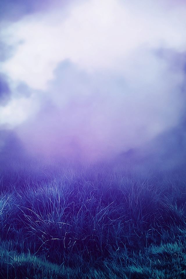 640x960 BluIe Island - grass iPhone 4s Wallpaper