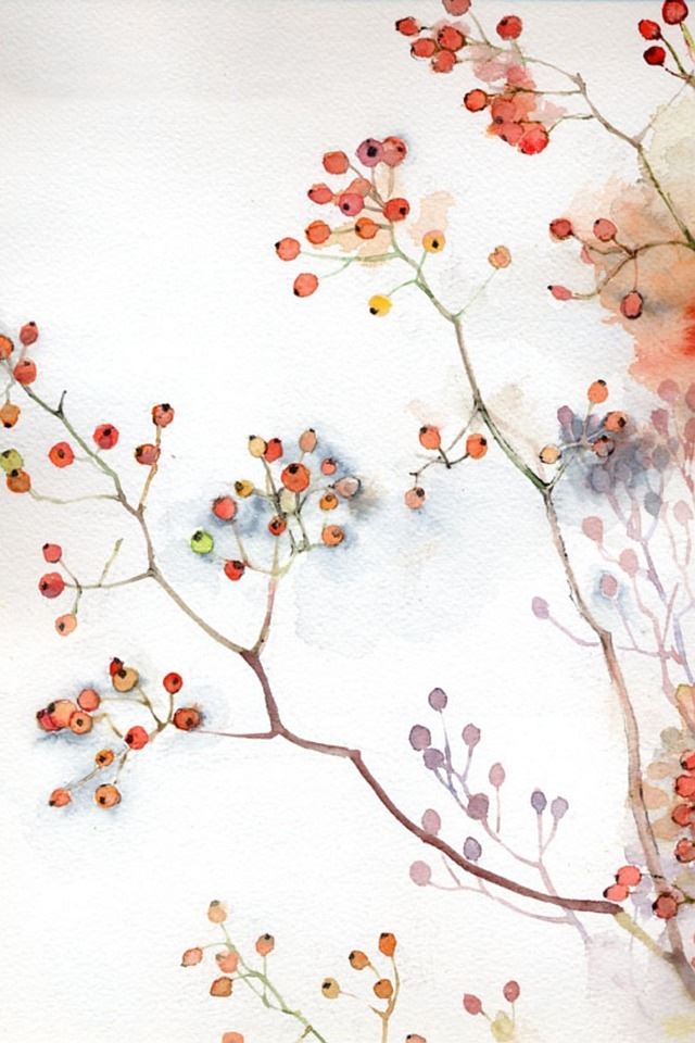 640x960 Illustration of red berries - berries iPhone 4s Wallpaper
