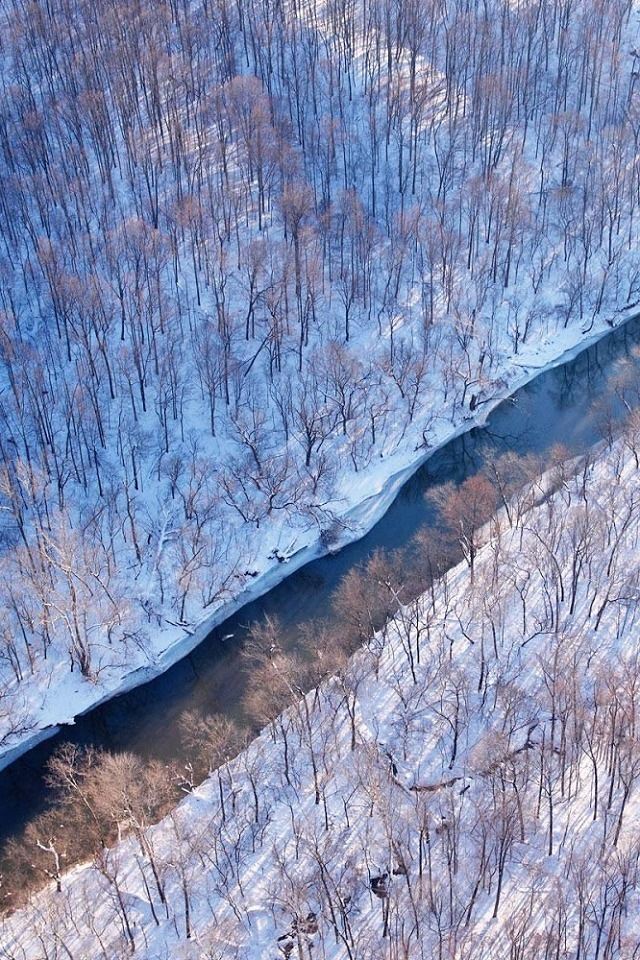 640x960 Overlooking the woods - snow iPhone 4s Wallpaper