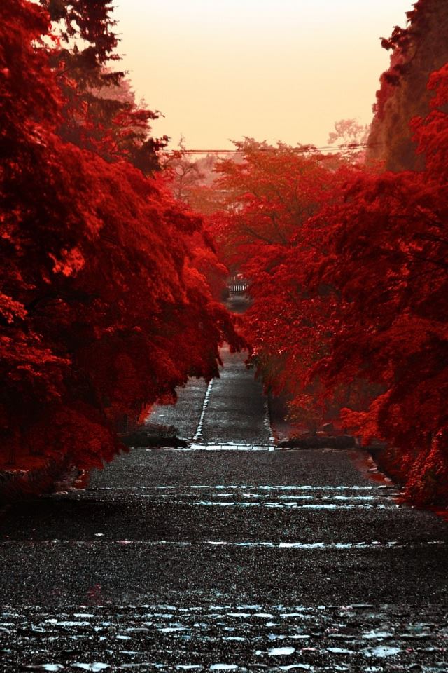 640x960 Japan Honshu Island - japan iPhone 4s Wallpaper