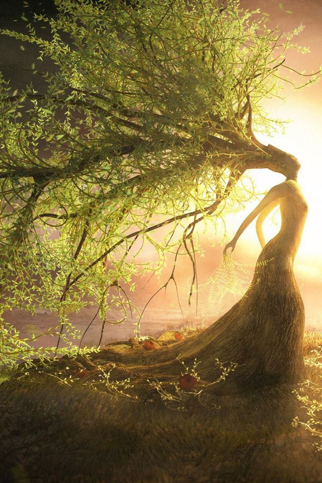 640x960 Fantasy willow - cyan iPhone 4s Wallpaper