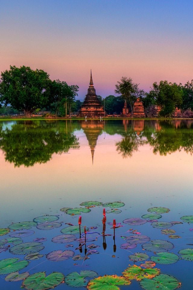640x960 Sukhothai historical park thailand - tree iPhone 4s Wallpaper