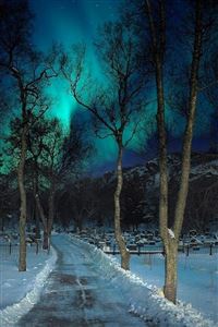 Cemetery slopes wallpaper