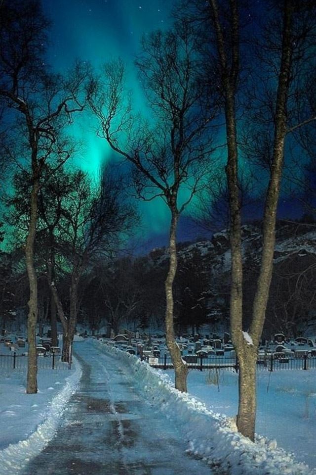 640x960 Cemetery slopes - tree iPhone 4s Wallpaper