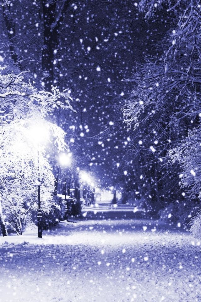 640x960 Winter Night - tree iPhone 4s Wallpaper