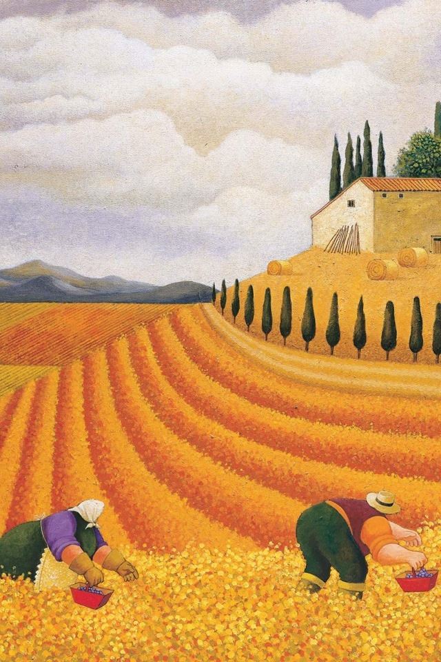 640x960 Harvest season - green iPhone 4s Wallpaper