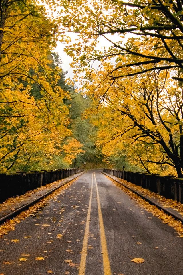 Autumn Road iPhone 4s Wallpapers Free Download