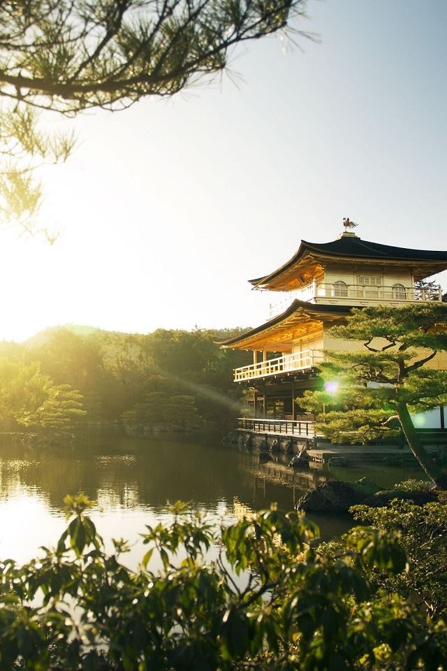 640x960 Golden Pavilion Kyoto - tree iPhone 4s Wallpaper