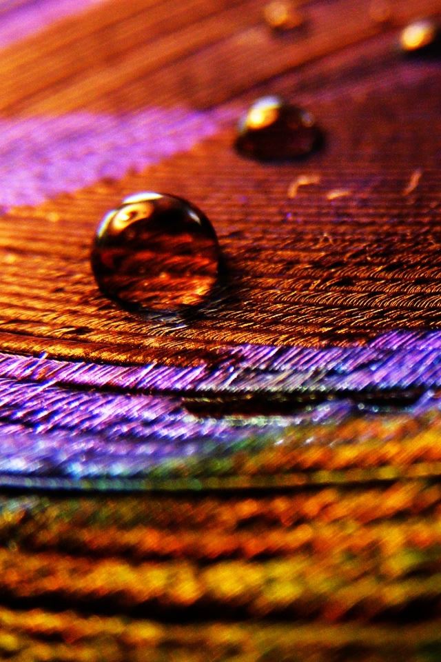 640x960 Colorful Cloth - droplet iPhone 4s Wallpaper