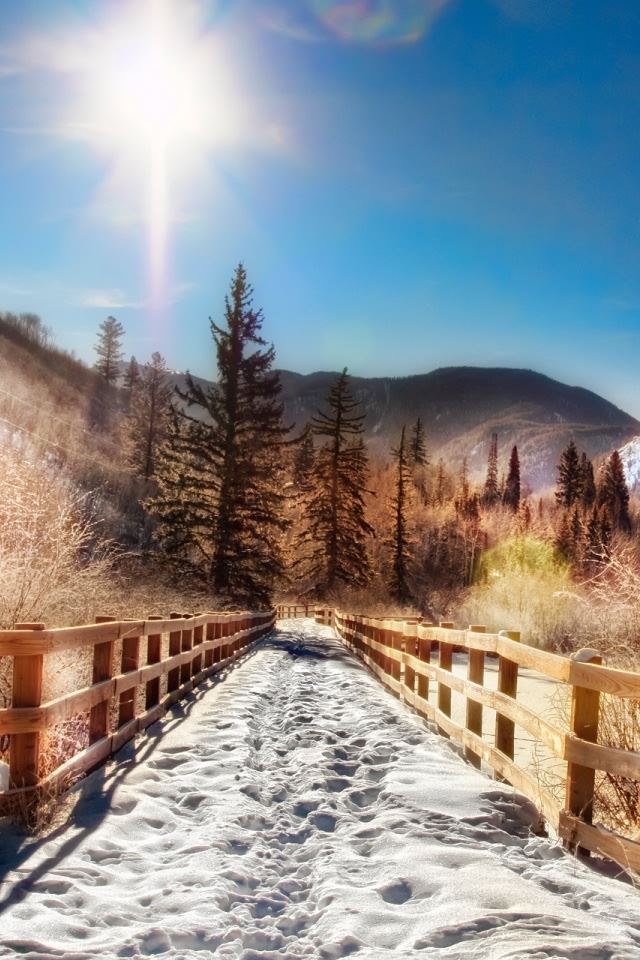 640x960 Aspen Trail Winter - green iPhone 4s Wallpaper