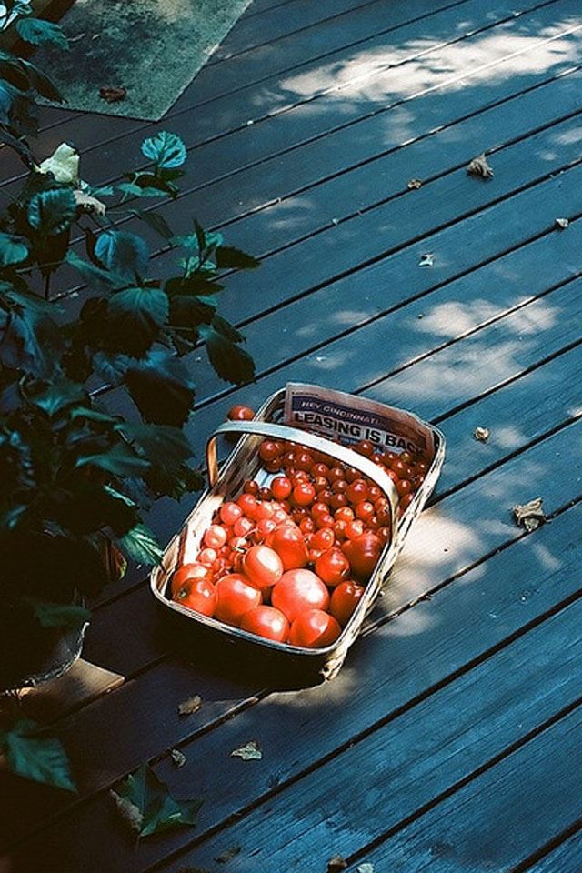 640x960 Basket of tomatoes - tomatoes iPhone 4s Wallpaper