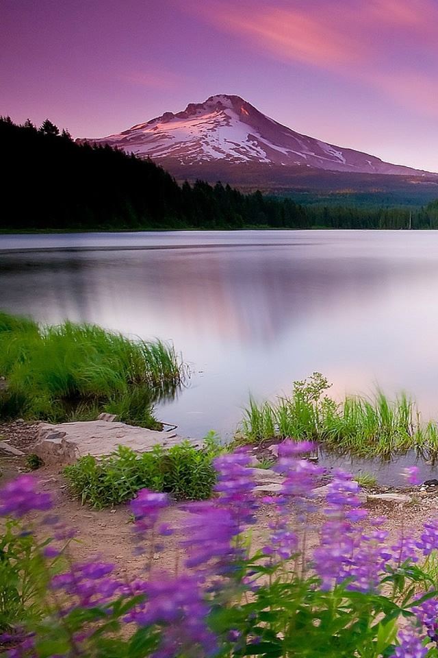 640x960 Mountain Lake And Flowers - mountain iPhone 4s Wallpaper