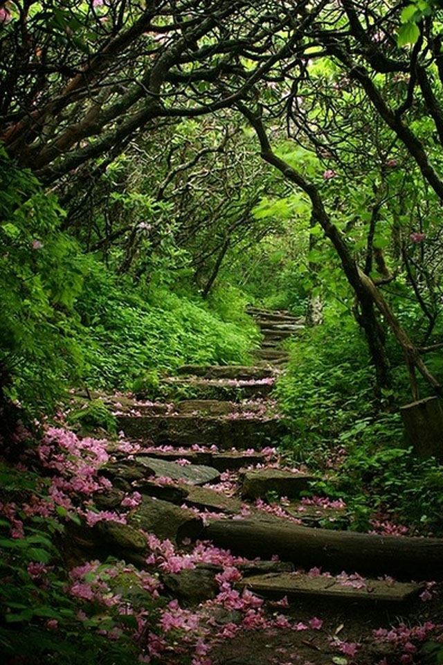 640x960 Quiet trails - quiet iPhone 4s Wallpaper