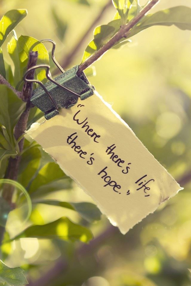 640x960 Proverbs Life - life iPhone 4s Wallpaper