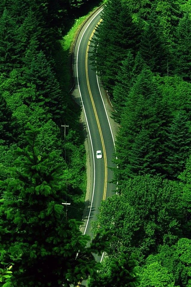 640x960 Roadscape - tree iPhone 4s Wallpaper