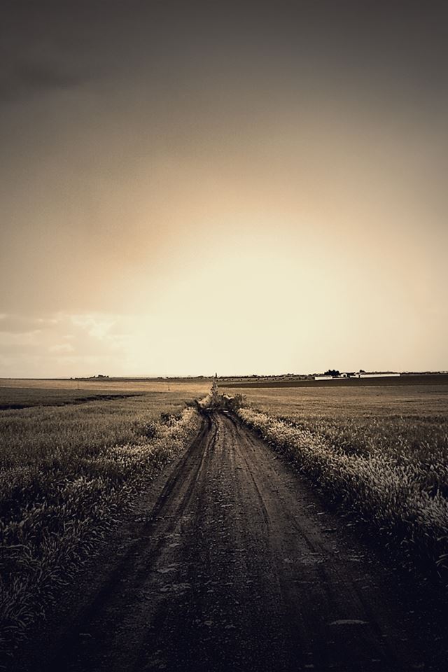 640x960 Field Way - way iPhone 4s Wallpaper