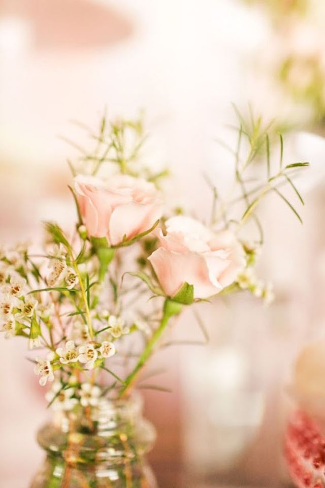 640x960 Flower bokeh - flower iPhone 4s Wallpaper