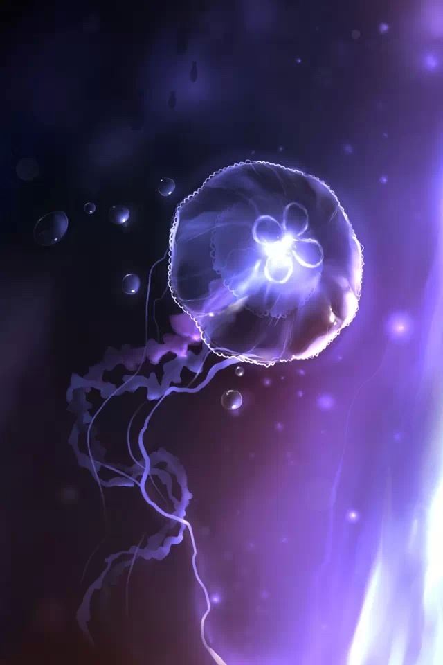 640x960 Purple Jellyfish -  iPhone 4s Wallpaper