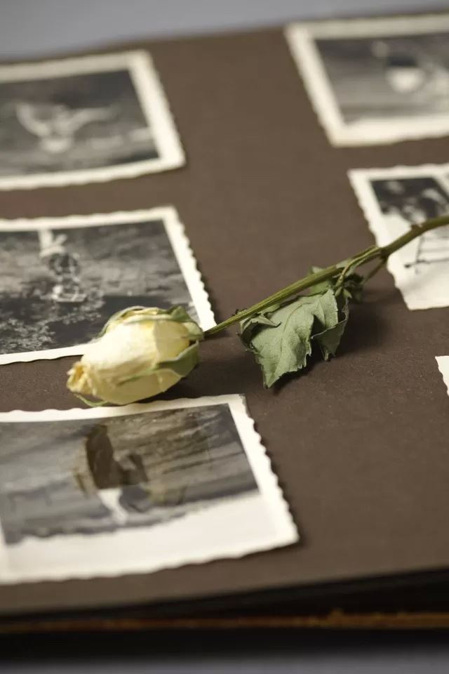 640x960 Withered roses -  iPhone 4s Wallpaper