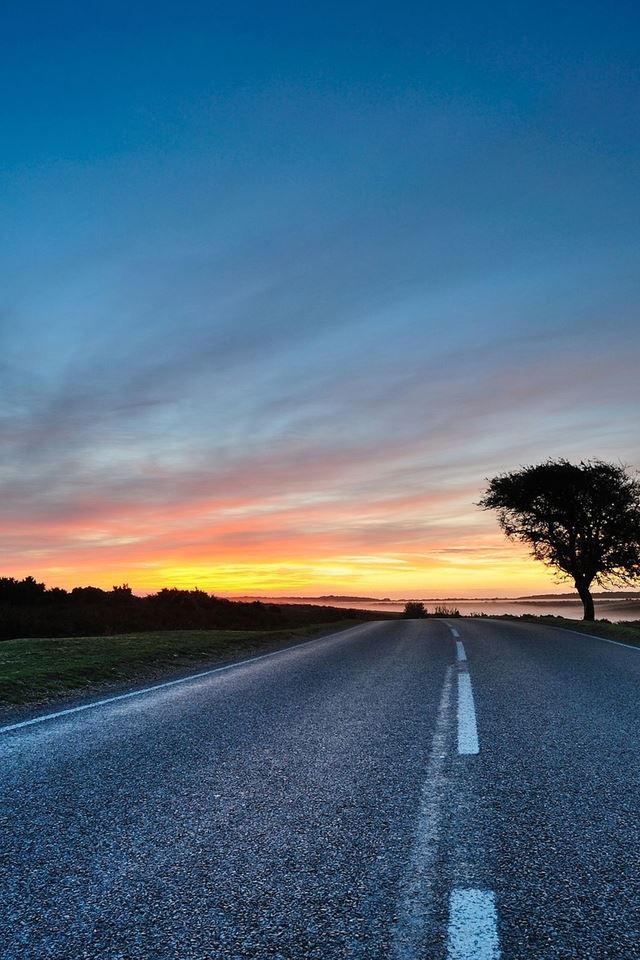 640x960 Hdr Road - tree iPhone 4s Wallpaper