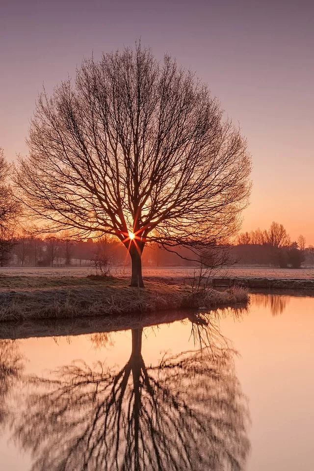 640x960 Sunset shadows - sun iPhone 4s Wallpaper