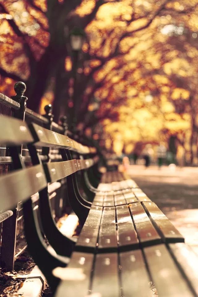 640x960 Park Benches - bokeh iPhone 4s Wallpaper