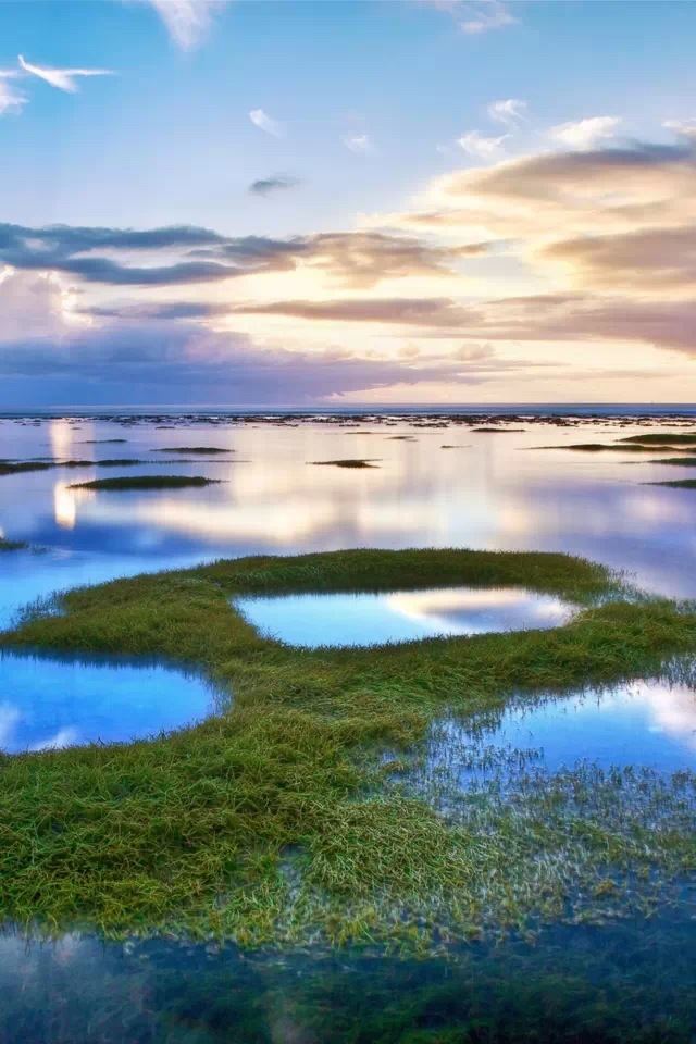 640x960 Wetlands - green iPhone 4s Wallpaper