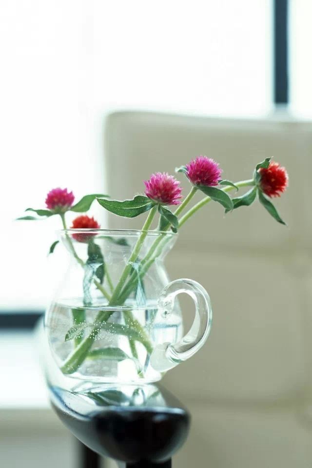 640x960 Gomphrena - flower iPhone 4s Wallpaper