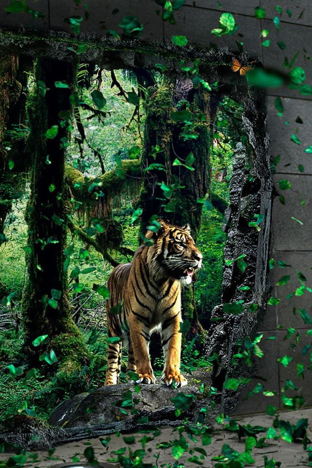 640x960 Brave Tigre Apparition - tree iPhone 4s Wallpaper