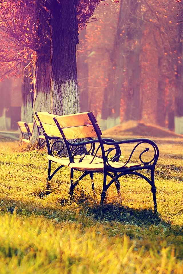 640x960 Autumn Landscape - tree iPhone 4s Wallpaper