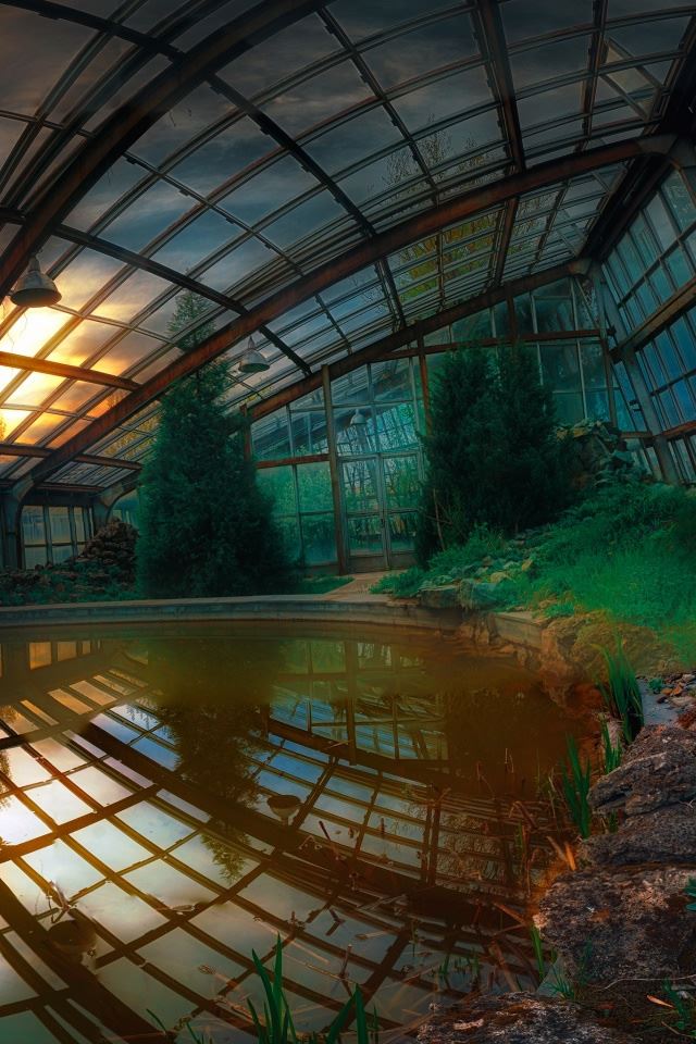 640x960 Armenia Yerevan Botanical Garden - plant iPhone 4s Wallpaper