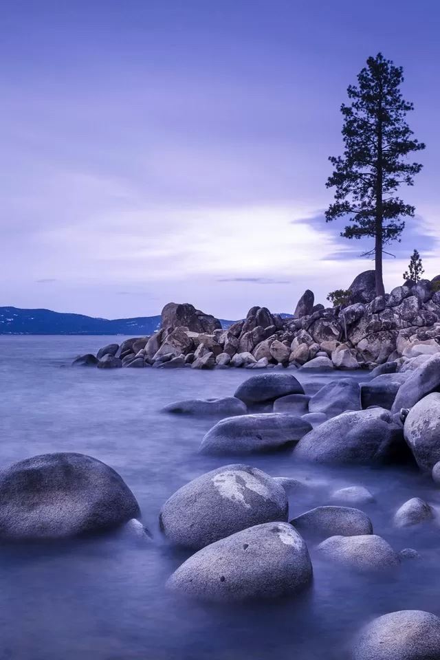 640x960 Dawn - tree iPhone 4s Wallpaper