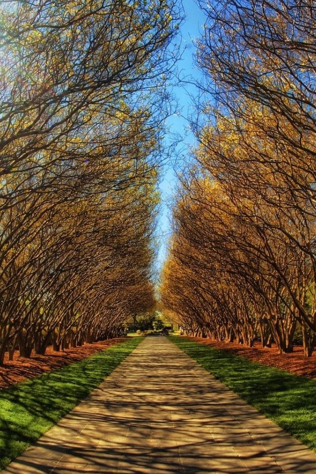 640x960 Park Alley - alley iPhone 4s Wallpaper