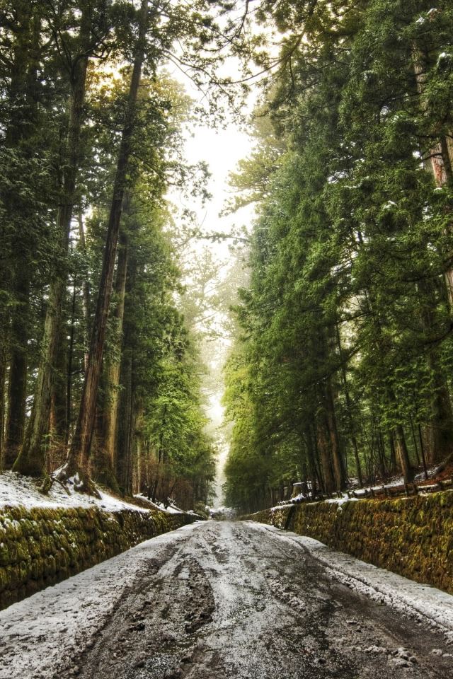 640x960 Old Forest Alley - alley iPhone 4s Wallpaper