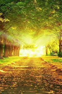 Natural scenery wallpaper