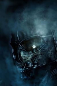 Celtic Berserker wallpaper