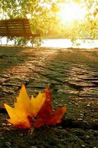 Defoliation wallpaper