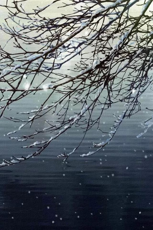 640x960 Snow pressure branches - branches iPhone 4s Wallpaper