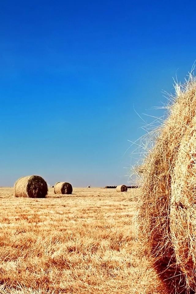 640x960 Autumn harvest - farm iPhone 4s Wallpaper