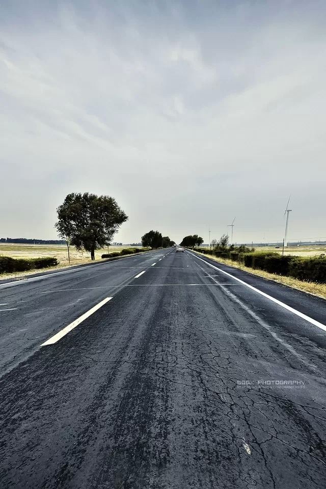 640x960 Road - tree iPhone 4s Wallpaper