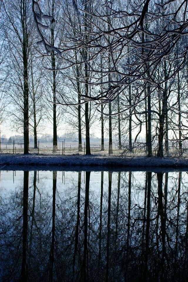 640x960 Reflection Kromme Rijn River - tree iPhone 4s Wallpaper