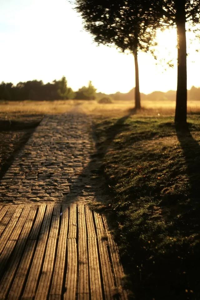 640x960 Sunset - sunset iPhone 4s Wallpaper