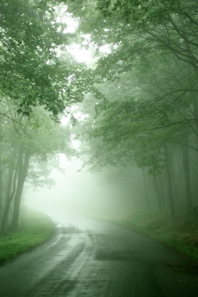 Forest Mist iPhone 4s wallpaper 